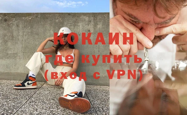 прущие грибы Заводоуковск