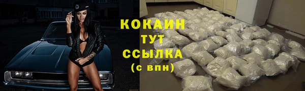прущие грибы Заводоуковск