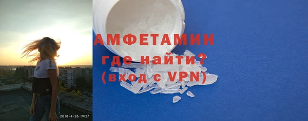 прущие грибы Заводоуковск