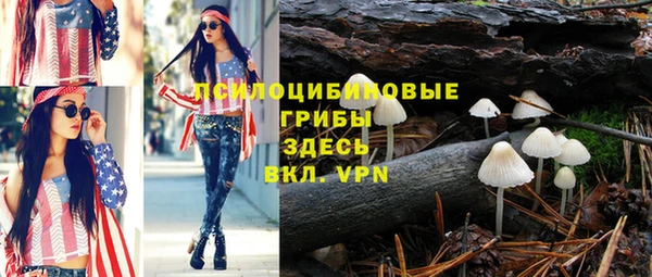 дживик Елабуга