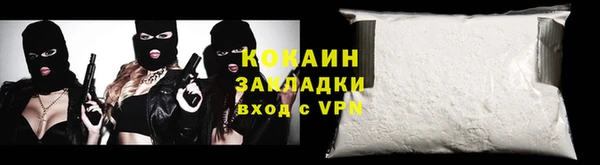 прущие грибы Заводоуковск