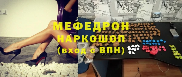 прущие грибы Заводоуковск