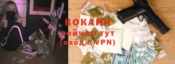 прущие грибы Заводоуковск