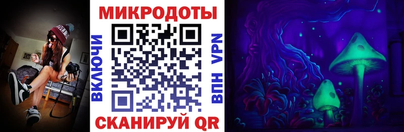 Купить закладки  Кулебаки  Псилоцибиновые грибы Magic Shrooms 